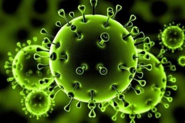 شناسایی گونه جدید ویروس کرونا در ژاپن