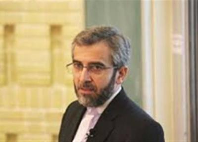 واکنش دبیر ستاد حقوق بشر ایران به تصمیم اتمی انگلیس