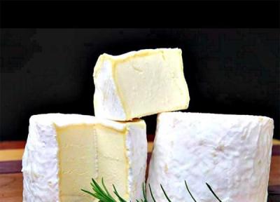 کشف بقایای پنیر 7200 ساله