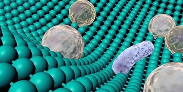 کاهش نفوذ آلودگی به پوست، فراوری پارچه های ضد باکتری با استفاده از نانوفناوری
