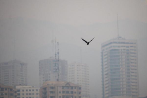 پیش بینی تداوم آلودگی هوای تهران تا بامداد فردا