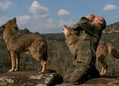 عکس ، 12 سال زندگی با گرگ ها؛ مردی که از نجات پیدا کردن پشیمان شد!
