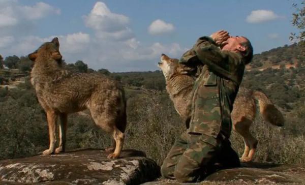 عکس ، 12 سال زندگی با گرگ ها؛ مردی که از نجات پیدا کردن پشیمان شد!